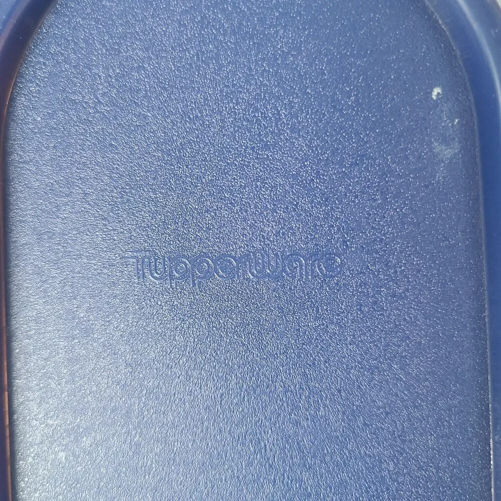 Vintage Tupperware Modular Mates Super Oval Pantry Set Four Piece Set Blue Lids